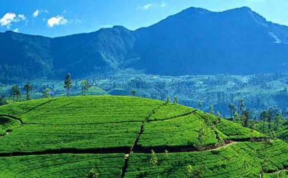 sri lanka holiday package from Nepal - shopin holidays
