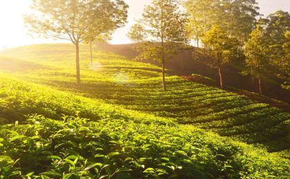 shopinholidays-illam-kathmandu-holidays
